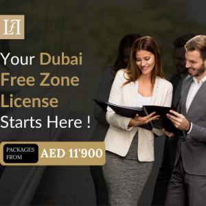 Dubai Freezone License