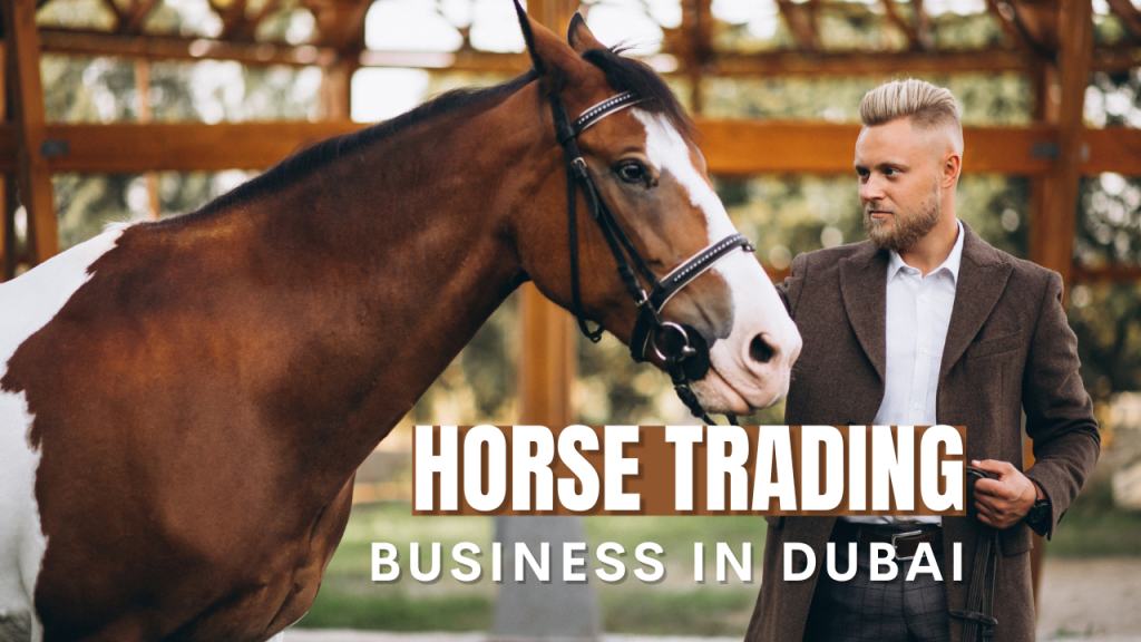 HOW TO START HORSE TRADING BUSINESS IN DUBAI